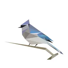 Logo BirdNet